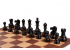 DGT BROWN SET chess pieces + board + DGT1002